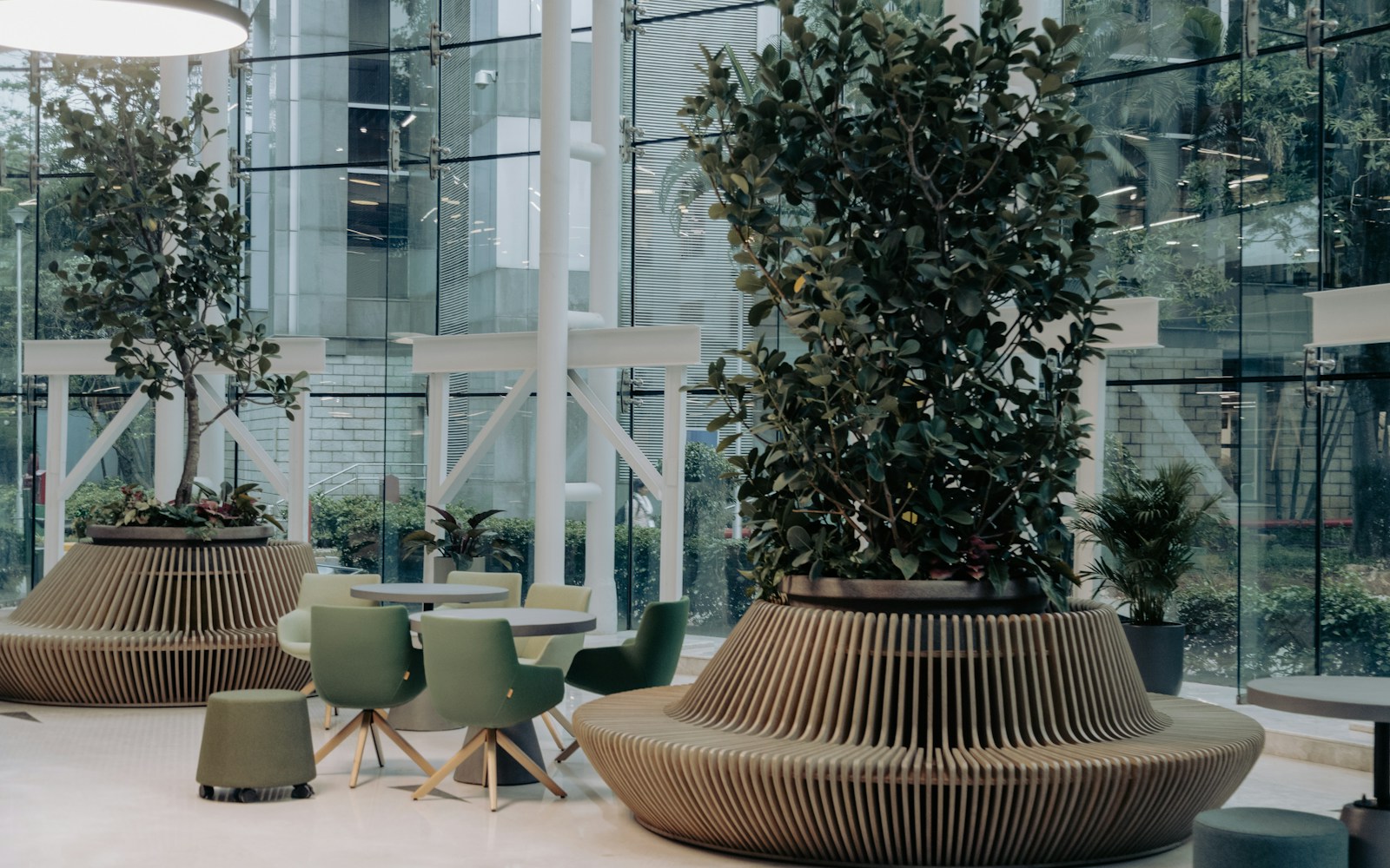 Maintained commercial office common area with daylight, seating, and indoor planting.